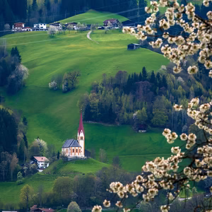 Grüne Frühlingswiesen und die Kirche bei Fügen, eingerahmt von blühenden Zweigen und verstreuten Bauernhöfen.